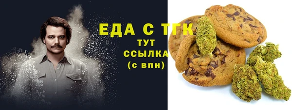 PSILOCYBIN Вяземский