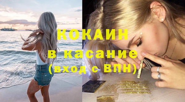PSILOCYBIN Вяземский