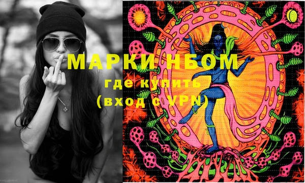 PSILOCYBIN Вяземский