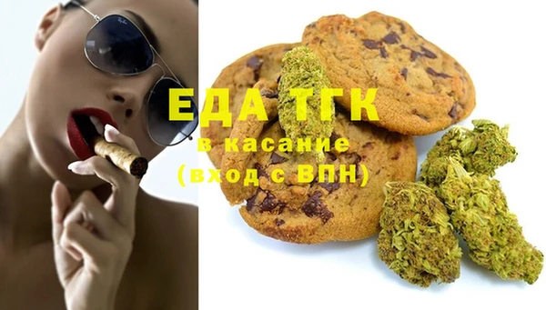 PSILOCYBIN Вяземский