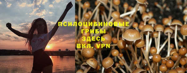 mdpv Вязники