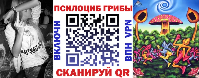 Купить  Новокубанск  Псилоцибиновые грибы MAGIC MUSHROOMS 