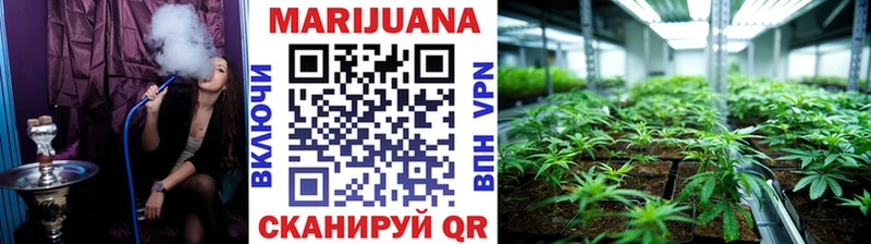 Канабис план  Купить закладки  Новокубанск 